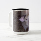 Cozmico Zweifarbige Tasse (Vorderseite Links)