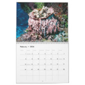 Cozumel 2011 Unterwasser Kalender (Feb 2026)