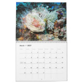 Cozumel 2011 Unterwasser Kalender (Mär 2027)
