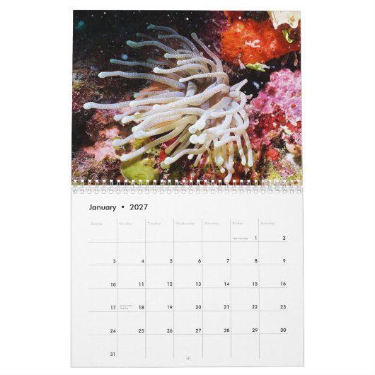 Cozumel 2011 Unterwasser Kalender (Jan 2027)