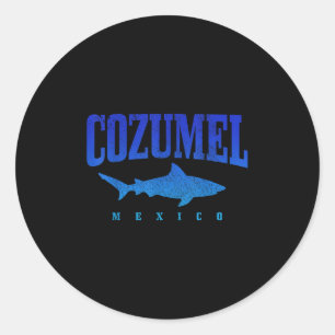 Cozumel Beach Mexico Scuba Diver Shark Diving Vint Runder Aufkleber