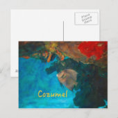 Cozumel Coral Reef Postkarte (Vorne/Hinten)