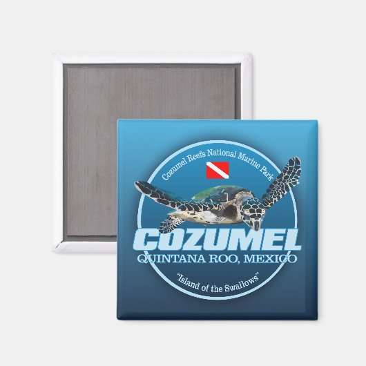 Cozumel (DD2) Magnet (Vorderseite/Rückseite)