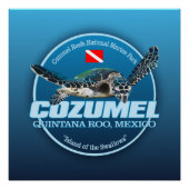 Cozumel (DD2) Poster (Vorderseite)