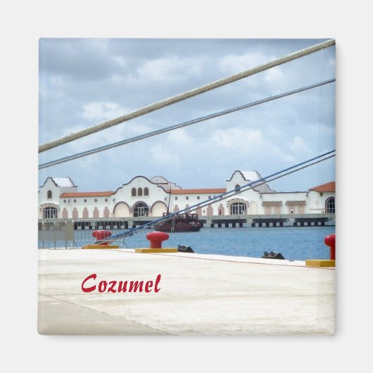 Cozumel Dockside Magnet (Vorne)