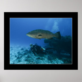 Cozumel - Grouper und Dave Poster