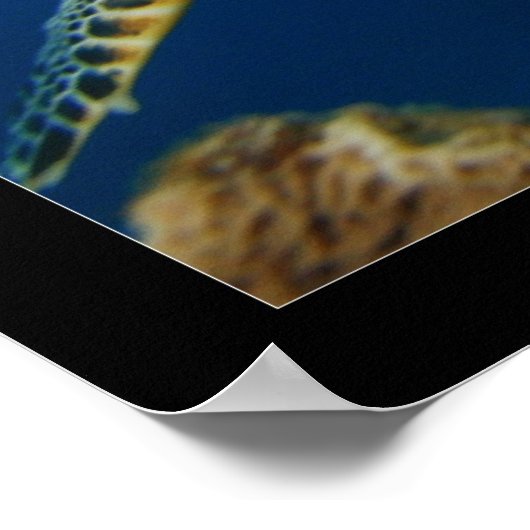 Cozumel - Hawksbill #005 Poster (Ecke)