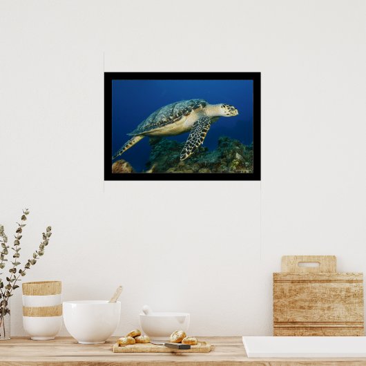 Cozumel - Hawksbill #005 Poster (Küche)