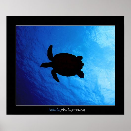 Cozumel - Hawksbill #011 Poster (Vorne)