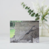 Cozumel Lizard Postkarte (Stehend Vorderseite)