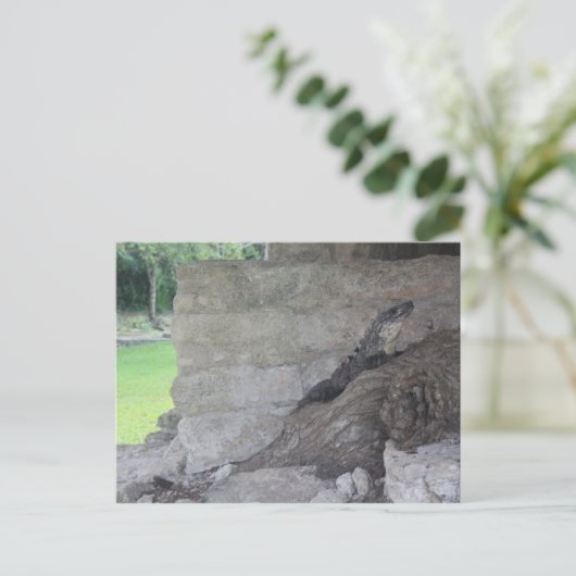 Cozumel Lizard Postkarte (Stehend Vorderseite)