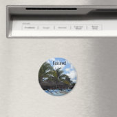 Cozumel Magnet (In Situ (Geschirrspüler))