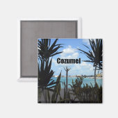 Cozumel Magnet (Vorderseite/Rückseite)