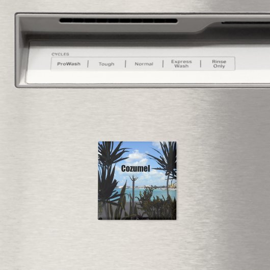 Cozumel Magnet (In Situ (Geschirrspüler))