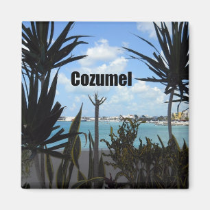 Cozumel Magnet