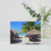 Cozumel Mexico Beach Hütte Palm Tree Aquamarines W Postkarte (Stehend Vorderseite)