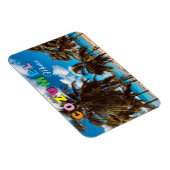 Cozumel Mexico Magnet (Rechte Seite)