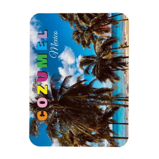 Cozumel Mexico Magnet (Vertikal)