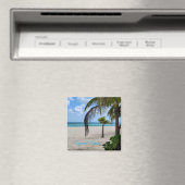 Cozumel Mexico Magnet (In Situ (Geschirrspüler))