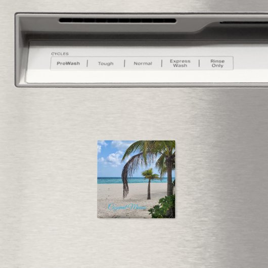 Cozumel Mexico Magnet (In Situ (Geschirrspüler))