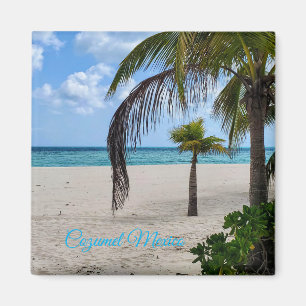 Cozumel Mexico Magnet