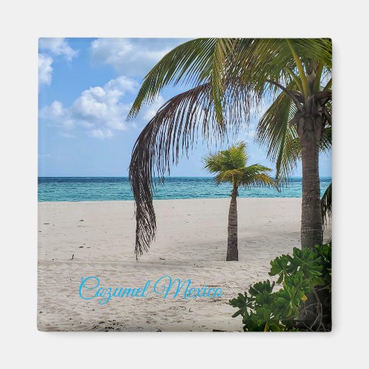 Cozumel Mexico Magnet (Vorne)