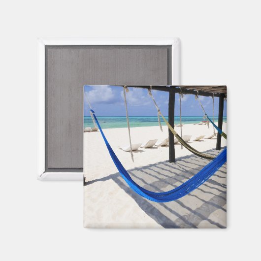 Cozumel Mexico Magnet (Vorderseite/Rückseite)