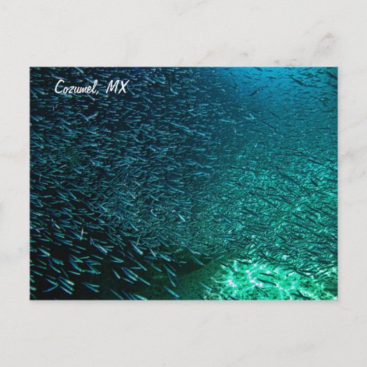 Cozumel Mexico Postkarte (Vorderseite)