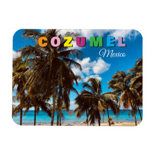 Cozumel Mexiko Reise Souvenir Magnet