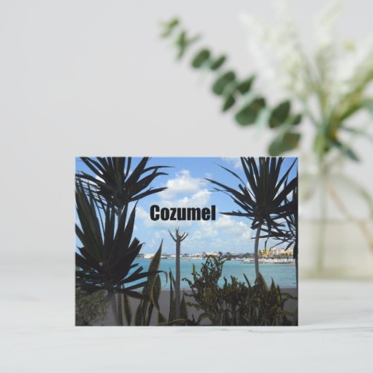 Cozumel Postkarte (Stehend Vorderseite)