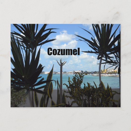 Cozumel Postkarte (Vorderseite)