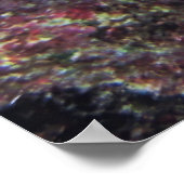 Cozumel Queen Angelfish Poster (Ecke)