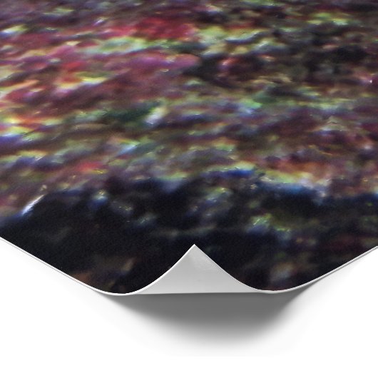 Cozumel Queen Angelfish Poster (Ecke)