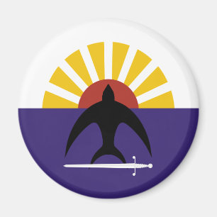 Cozumel, Quintana Roo, Mexiko-Flagge Magnet