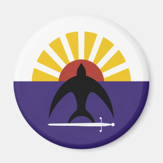 Cozumel, Quintana Roo, Mexiko-Flagge Magnet