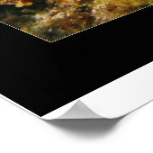 Cozumel Reef Poster (Ecke)