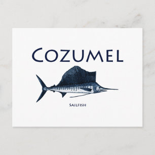 Cozumel Sailfish Postkarte