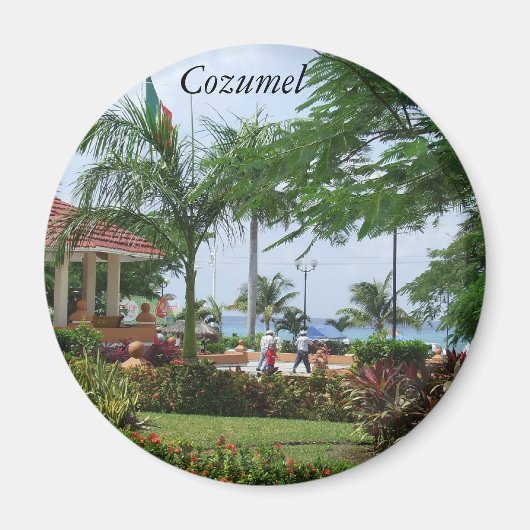 Cozumel Tropical Palm Tree Magnet (Vorne)