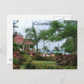 Cozumel Tropical Palm Tree Postkarte (Vorne/Hinten)