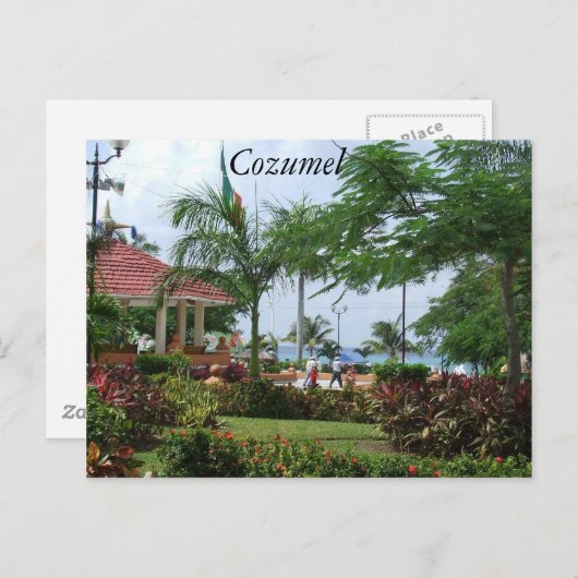 Cozumel Tropical Palm Tree Postkarte (Vorne/Hinten)