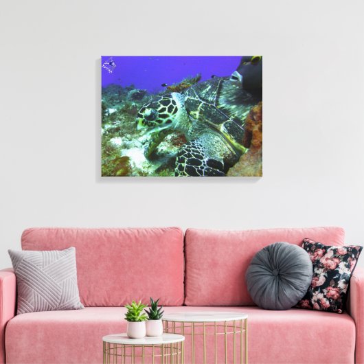 Cozumel Turtle #3 Leinwanddruck (Insitu (Wohnzimmer))