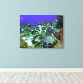 Cozumel Turtle #3 Leinwanddruck (Insitu (Holzboden))
