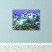 Cozumel Turtle Leinwanddruck (Insitu (Holzboden))