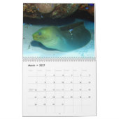 Cozumel Unterwasser2014 Kalender (Mär 2027)