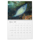Cozumel Unterwasser2014 Kalender (Feb 2027)