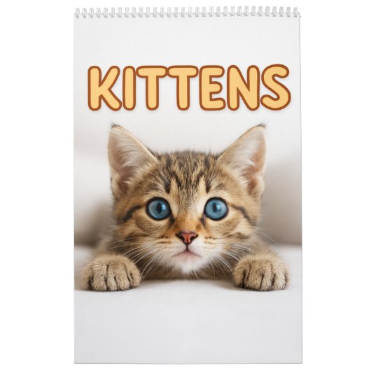 Cozy Cat Photography | Cute Kitten Cat Wall Kalender (Titelbild)