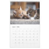 Cozy Cat Photography | Cute Kitten Cat Wall  Kalender (Mär 2026)