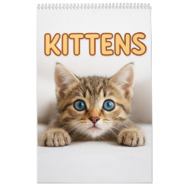 Cozy Cat Photography | Süße Kätzchen Katzen Wand Kalender