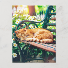 Cozy Cat Sleeping in Garden on Bench Postkarte