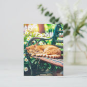 Cozy Cat Sleeping in Garden on Bench Postkarte (Stehend Vorderseite)